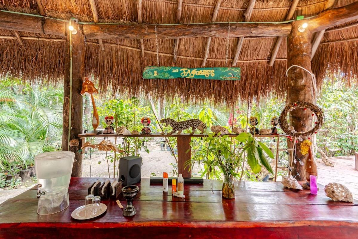 Zapote En Rancho Jaguares Jungle Retreat Camping
