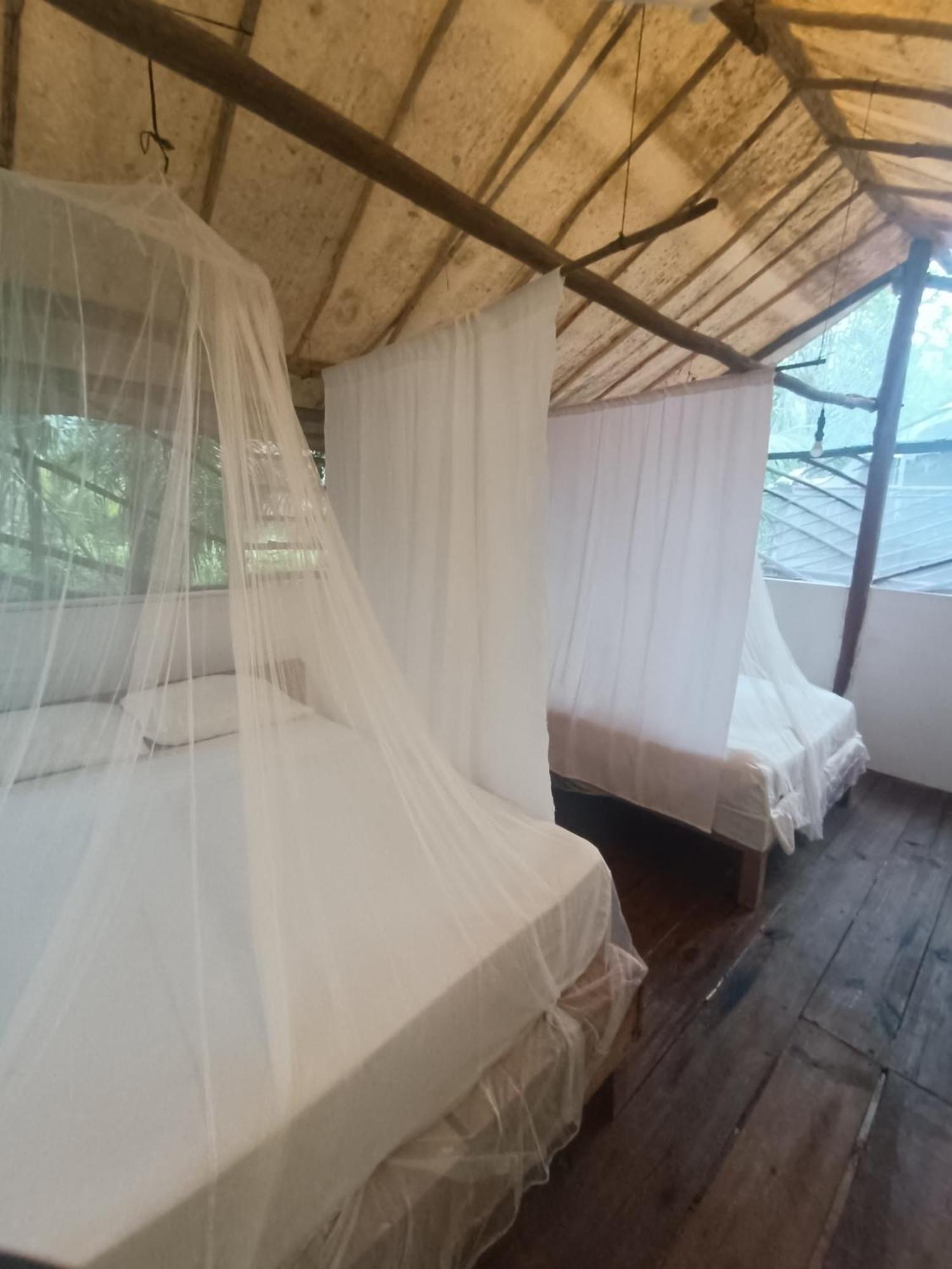 Zapote En Rancho Jaguares Jungle Retreat Acampamento *