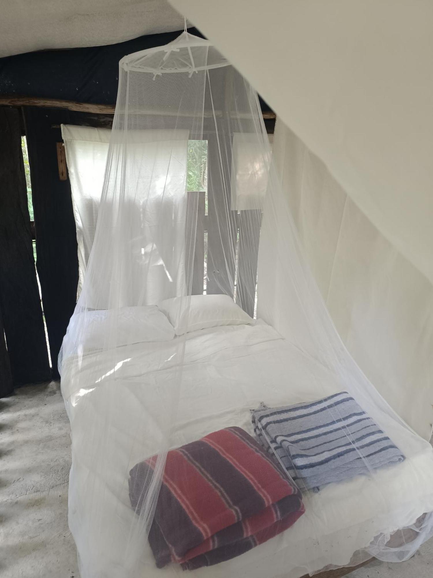 Zapote En Rancho Jaguares Jungle Retreat Acampamento