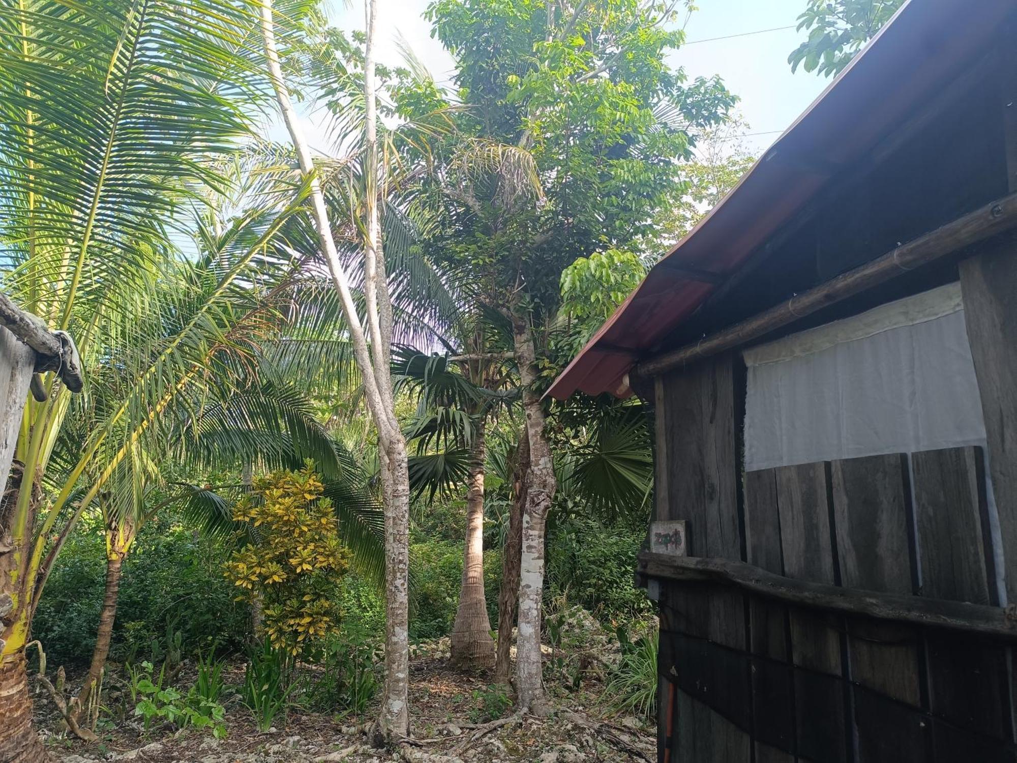 Acampamento Zapote En Rancho Jaguares Jungle Retreat