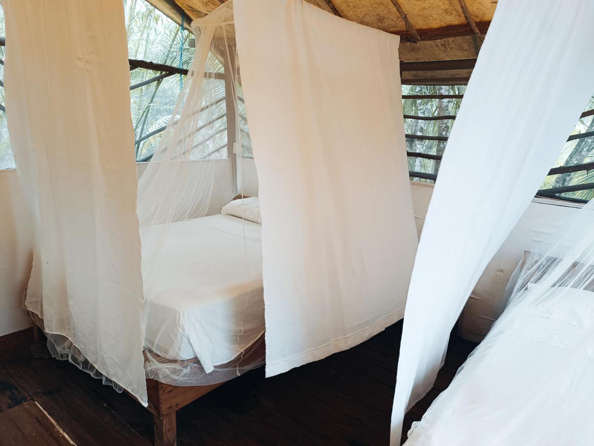 Acampamento Zapote En Rancho Jaguares Jungle Retreat *