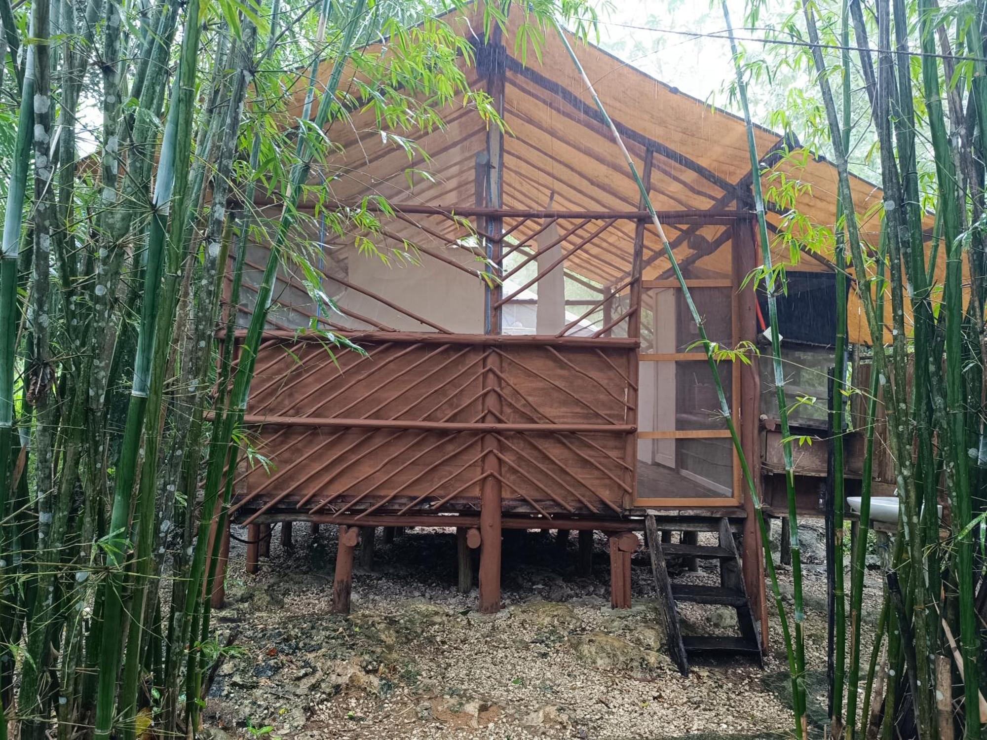 Acampamento Zapote En Rancho Jaguares Jungle Retreat *