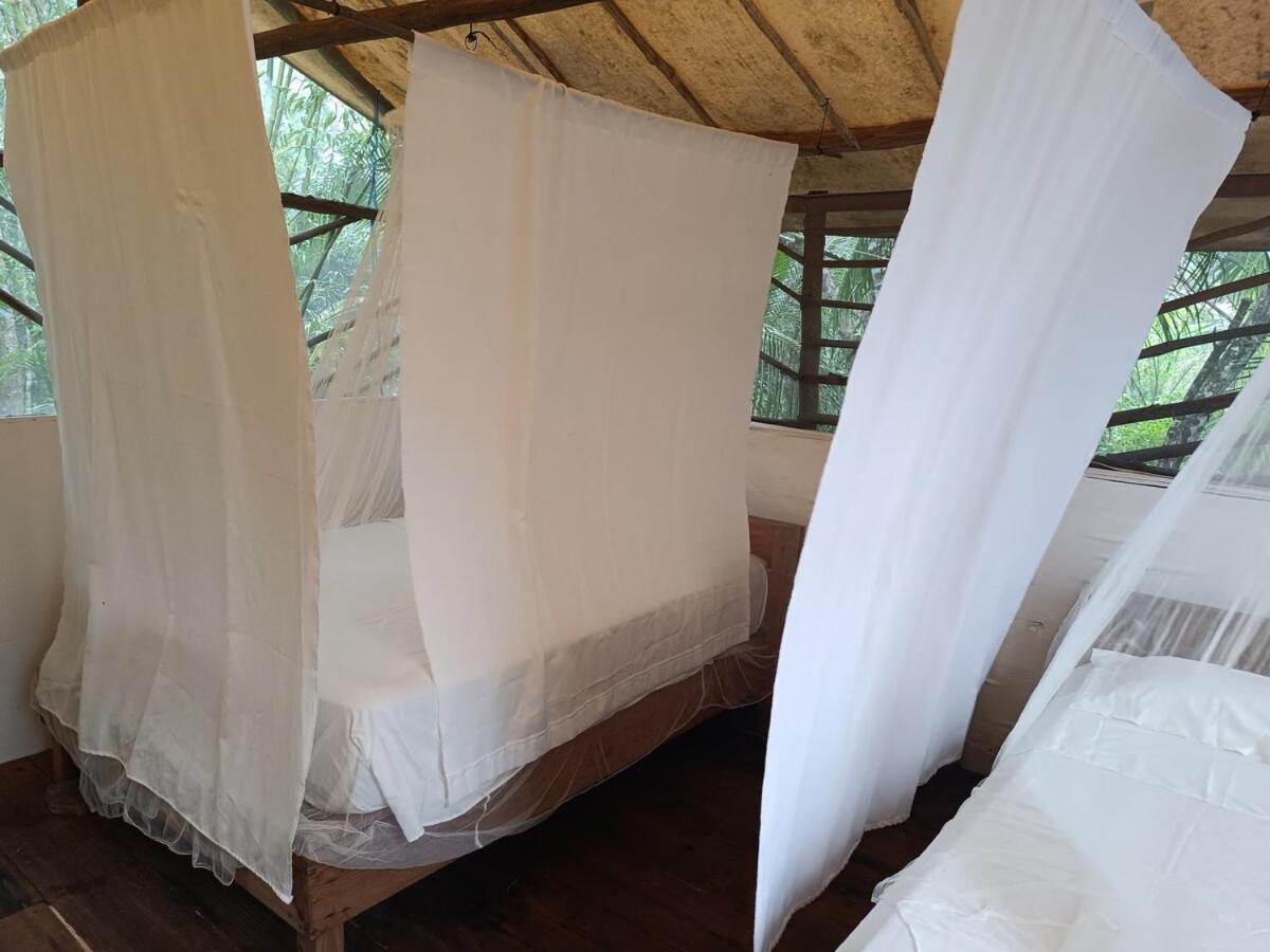 Acampamento Zapote En Rancho Jaguares Jungle Retreat *