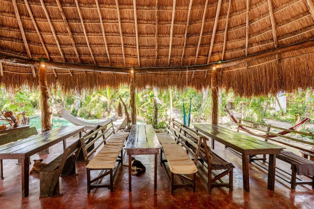 Acampamento Zapote En Rancho Jaguares Jungle Retreat Tulum