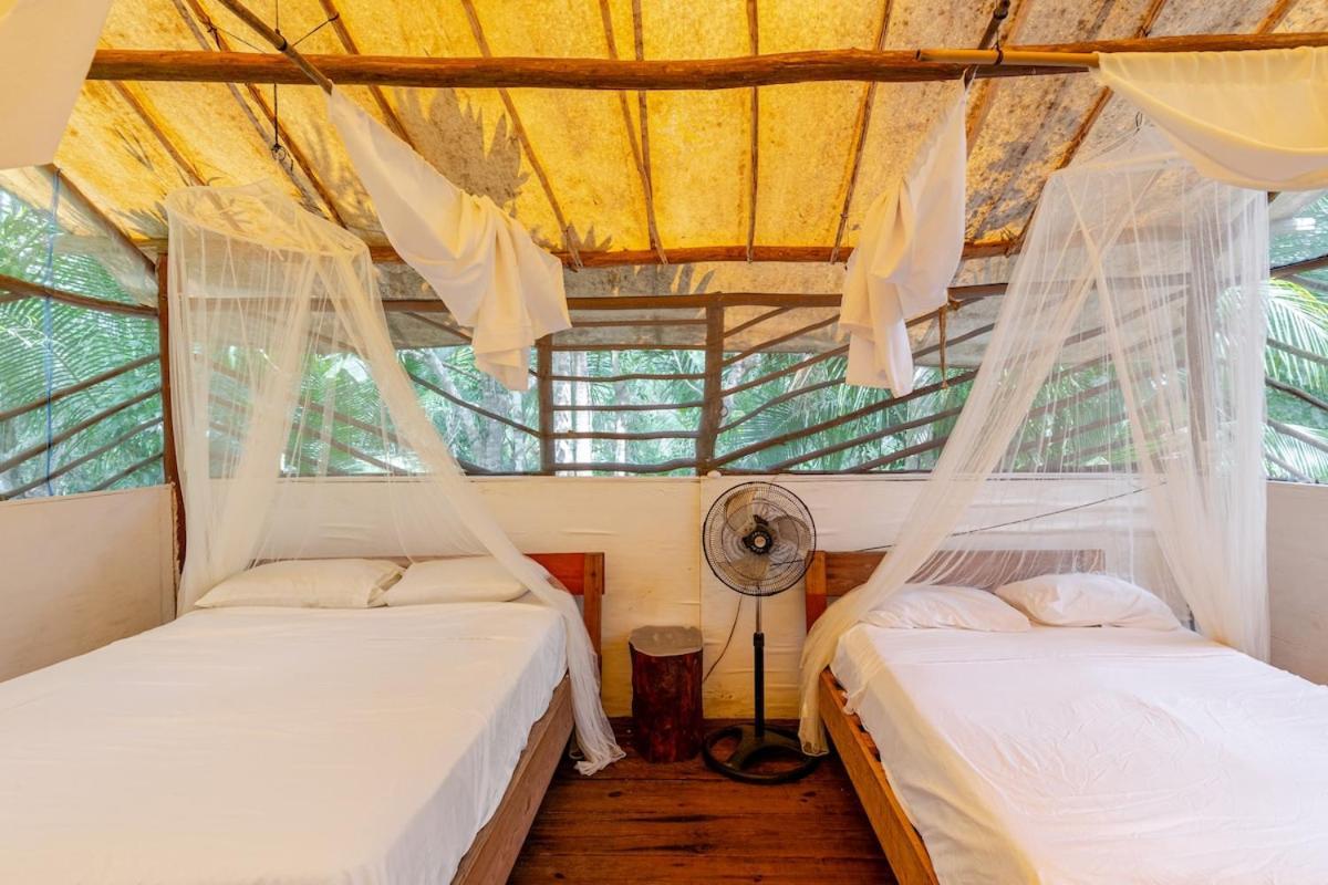 Acampamento Zapote En Rancho Jaguares Jungle Retreat