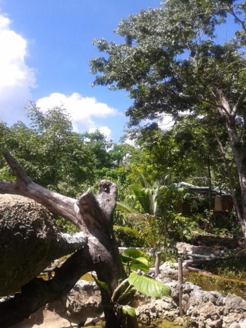 Zapote En Rancho Jaguares Jungle Retreat Acampamento Tulum