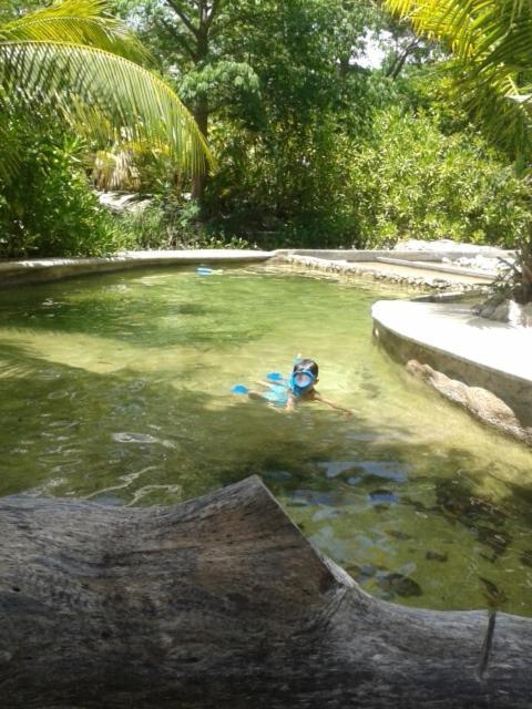 Acampamento Zapote En Rancho Jaguares Jungle Retreat *