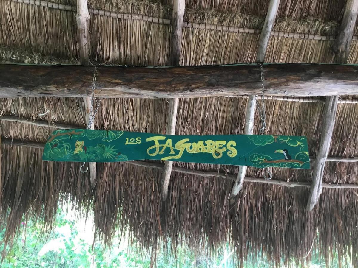 Acampamento Zapote En Rancho Jaguares Jungle Retreat