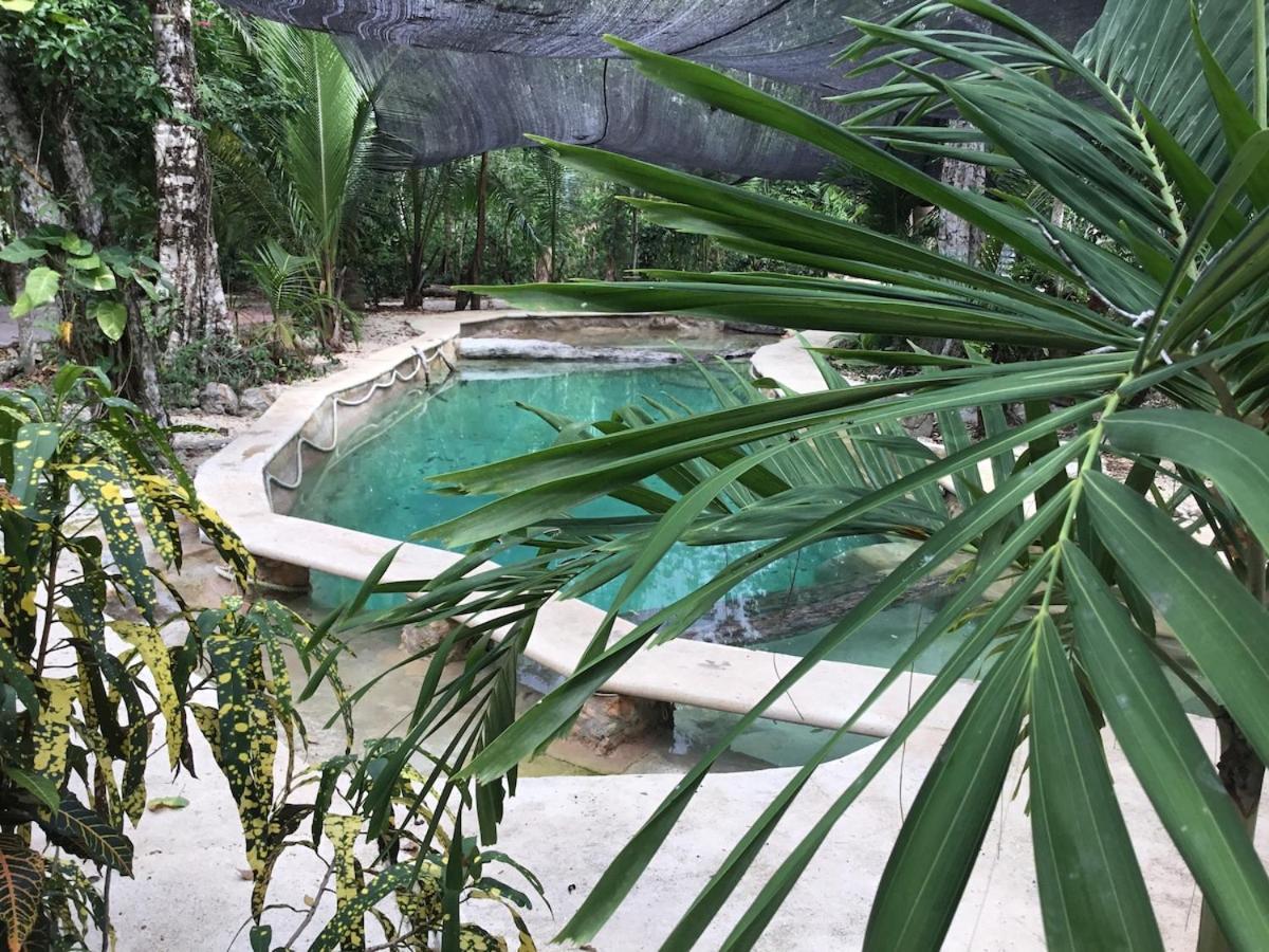 Acampamento Zapote En Rancho Jaguares Jungle Retreat Tulum