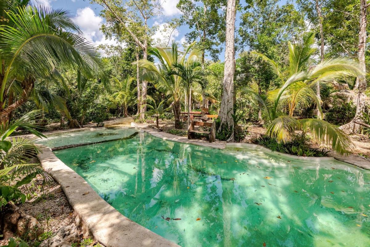 Zapote En Rancho Jaguares Jungle Retreat Acampamento Tulum